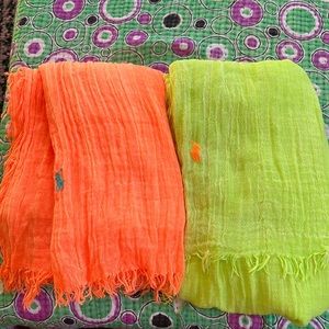 - Polo Ralph Lauren Neon Scarves!